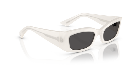 Oliver Peoples 1993C